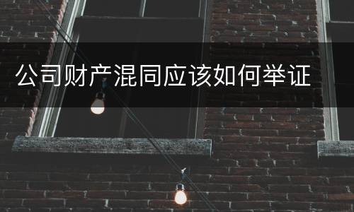 公司财产混同应该如何举证