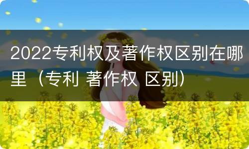 2022专利权及著作权区别在哪里（专利 著作权 区别）