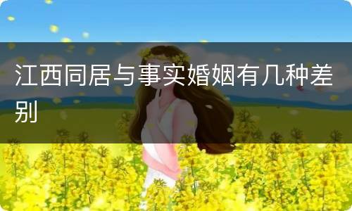 江西同居与事实婚姻有几种差别