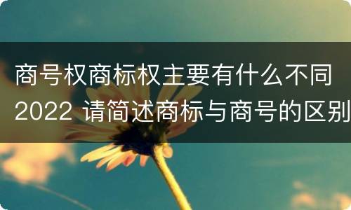 商号权商标权主要有什么不同2022 请简述商标与商号的区别