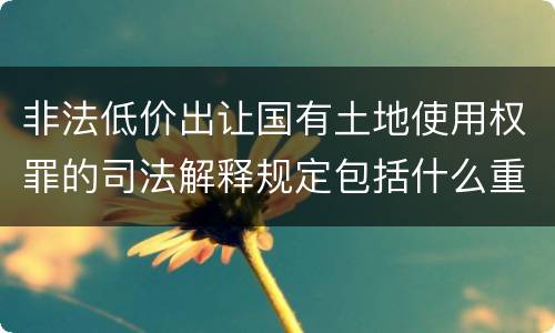 非法低价出让国有土地使用权罪的司法解释规定包括什么重要内容