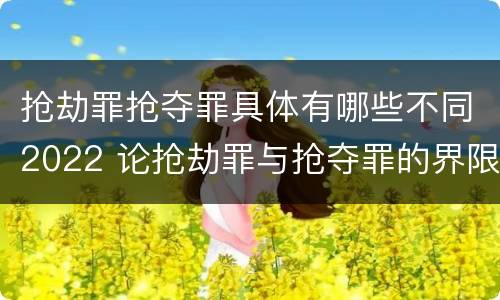 抢劫罪抢夺罪具体有哪些不同2022 论抢劫罪与抢夺罪的界限