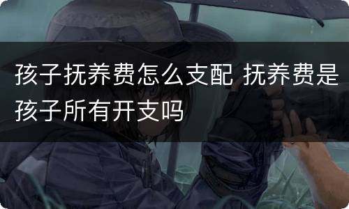 孩子抚养费怎么支配 抚养费是孩子所有开支吗