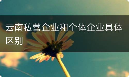 云南私营企业和个体企业具体区别