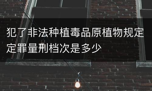犯了非法种植毒品原植物规定定罪量刑档次是多少