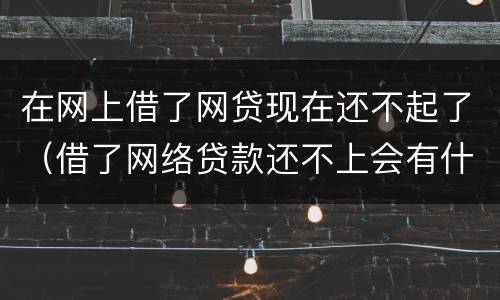 在网上借了网贷现在还不起了（借了网络贷款还不上会有什么后果）