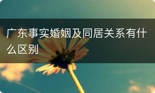 广东事实婚姻及同居关系有什么区别