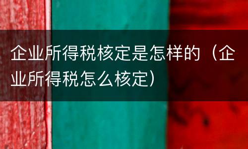 企业所得税核定是怎样的（企业所得税怎么核定）