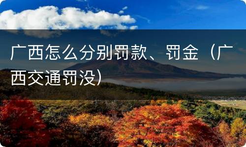 广西怎么分别罚款、罚金（广西交通罚没）