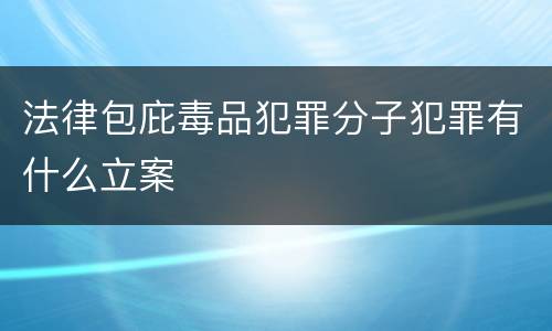 法律包庇毒品犯罪分子犯罪有什么立案
