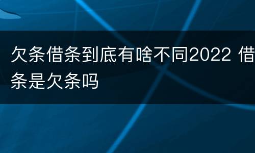 欠条借条到底有啥不同2022 借条是欠条吗