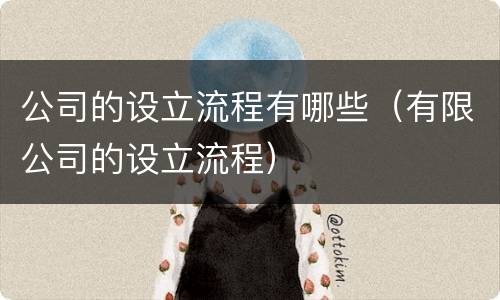 公司的设立流程有哪些（有限公司的设立流程）
