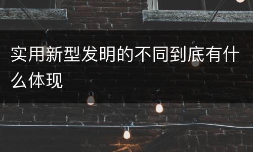 实用新型发明的不同到底有什么体现