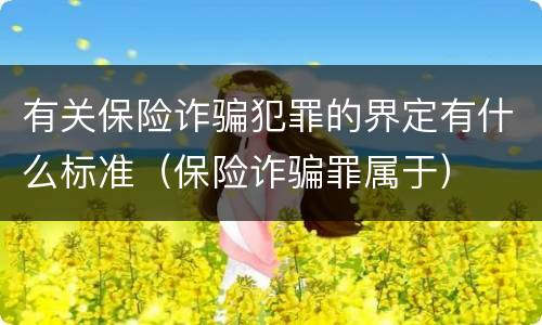 有关保险诈骗犯罪的界定有什么标准（保险诈骗罪属于）
