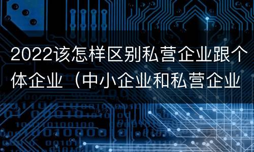 2022该怎样区别私营企业跟个体企业（中小企业和私营企业区别）