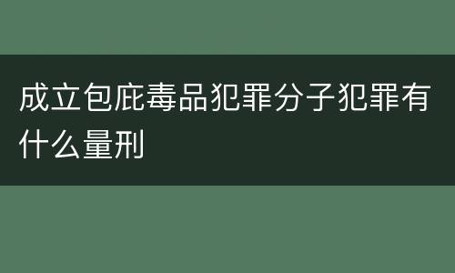 成立包庇毒品犯罪分子犯罪有什么量刑