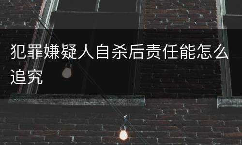 犯罪嫌疑人自杀后责任能怎么追究