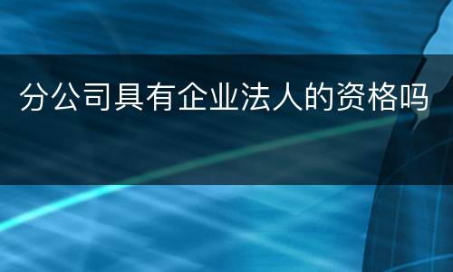 分公司具有企业法人的资格吗