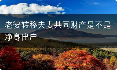 老婆转移夫妻共同财产是不是净身出户