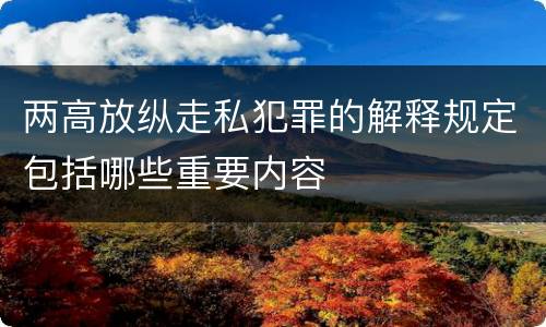 两高放纵走私犯罪的解释规定包括哪些重要内容