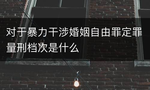 对于暴力干涉婚姻自由罪定罪量刑档次是什么