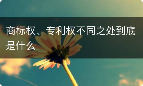商标权、专利权不同之处到底是什么