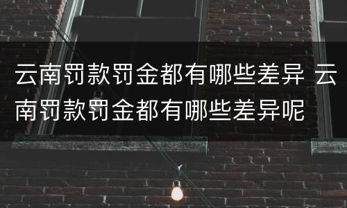 云南罚款罚金都有哪些差异 云南罚款罚金都有哪些差异呢