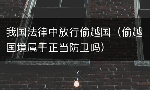 我国法律中放行偷越国（偷越国境属于正当防卫吗）