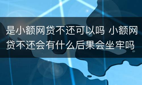 是小额网贷不还可以吗 小额网贷不还会有什么后果会坐牢吗