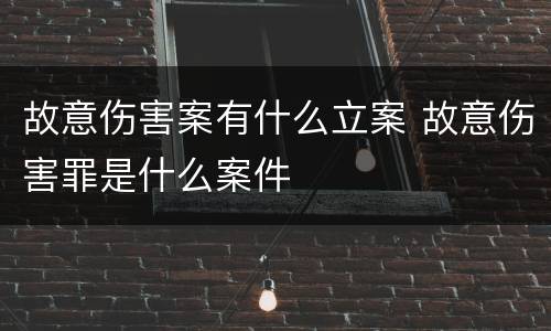 故意伤害案有什么立案 故意伤害罪是什么案件