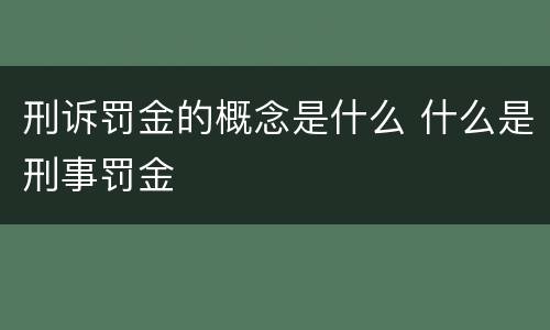 刑诉罚金的概念是什么 什么是刑事罚金