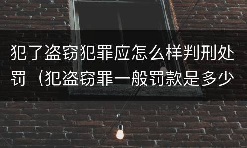 犯了盗窃犯罪应怎么样判刑处罚（犯盗窃罪一般罚款是多少）