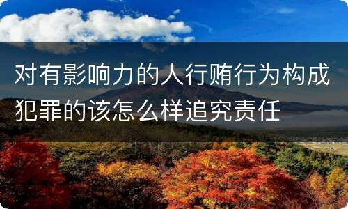 对有影响力的人行贿行为构成犯罪的该怎么样追究责任