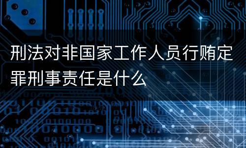 刑法对非国家工作人员行贿定罪刑事责任是什么