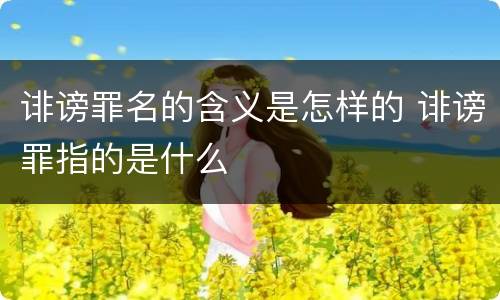 诽谤罪名的含义是怎样的 诽谤罪指的是什么