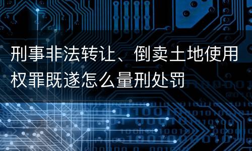 刑事非法转让、倒卖土地使用权罪既遂怎么量刑处罚