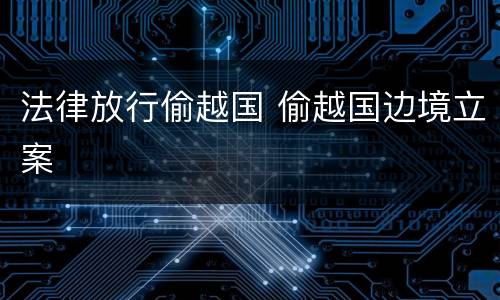 法律放行偷越国 偷越国边境立案