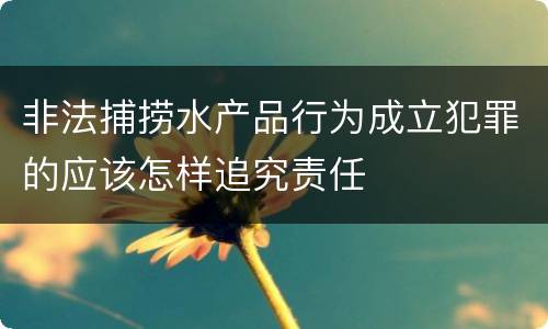 非法捕捞水产品行为成立犯罪的应该怎样追究责任