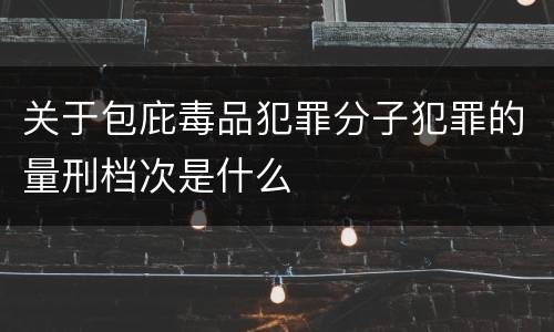 关于包庇毒品犯罪分子犯罪的量刑档次是什么
