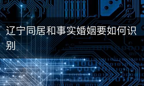 辽宁同居和事实婚姻要如何识别