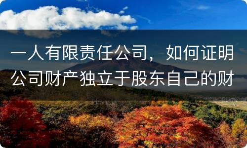 一人有限责任公司，如何证明公司财产独立于股东自己的财产