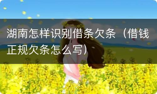 湖南怎样识别借条欠条（借钱正规欠条怎么写）
