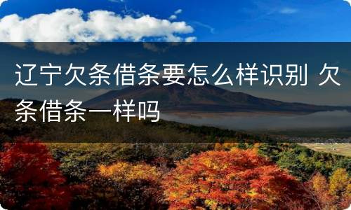 辽宁欠条借条要怎么样识别 欠条借条一样吗