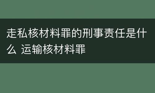 走私核材料罪的刑事责任是什么 运输核材料罪