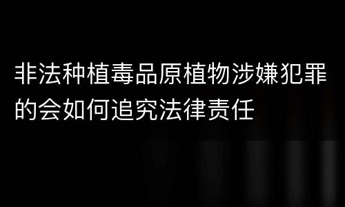 非法种植毒品原植物涉嫌犯罪的会如何追究法律责任
