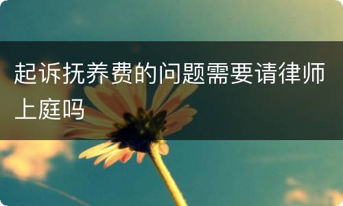 起诉抚养费的问题需要请律师上庭吗