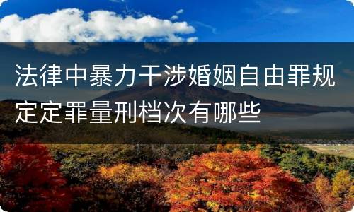 法律中暴力干涉婚姻自由罪规定定罪量刑档次有哪些