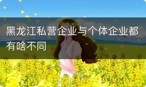 黑龙江私营企业与个体企业都有啥不同