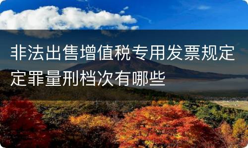 非法出售增值税专用发票规定定罪量刑档次有哪些
