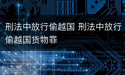 刑法中放行偷越国 刑法中放行偷越国货物罪